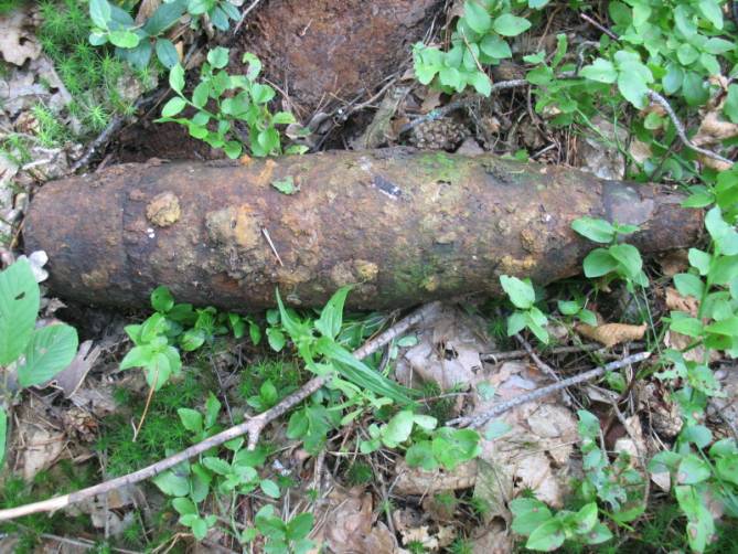 Возле села в Жуковском районе нашли минометную мину