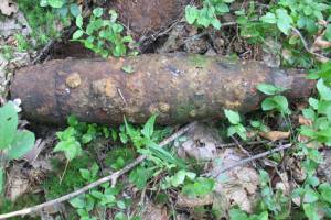 Возле села в Жуковском районе нашли минометную мину