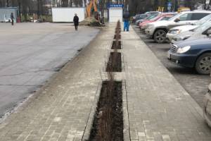 В Брянске делают новый тротуар на площади перед ДК БМЗ