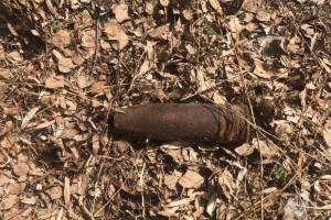 В брянском посёлке Локоть нашли артиллерийский снаряд