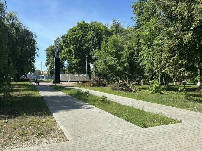 В Бежицком районе Брянске избавились от 59 больных ясеней