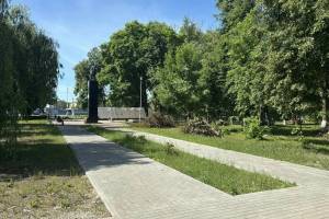 В Бежицком районе Брянске избавились от 59 больных ясеней