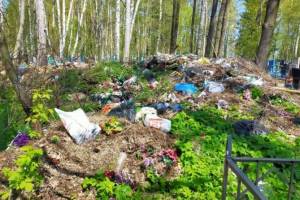 В Суражском районе чиновников заставили убрать мусор с сельского кладбища