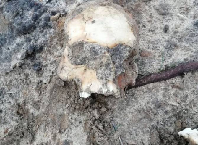 В селе под Новозыбковом нашли человеческие останки