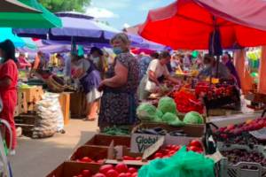 В Клинцах чиновники незаконно отказали организатору овощной ярмарки