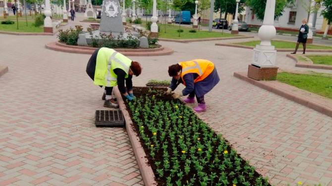 В Брянске высадили цветы на Набережной и Семёновском сквере