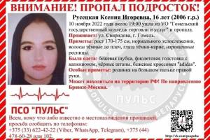 Брянцев попросили помочь в поисках 16-летней Ксении Русецкой из Беларуси