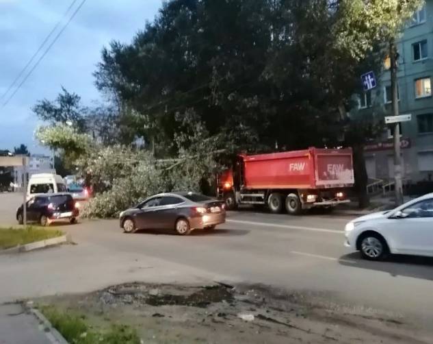 В Брянске на «Северной» самосвал завалил дерево