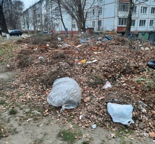 В Брянске во дворах домов на Орловской выросла огромная свалка