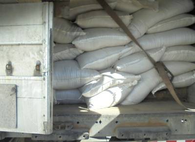 В Брянскую область с начала года пытались незаконно ввезти больше 3 тонн семян