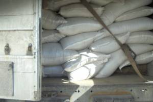 В Брянскую область с начала года пытались незаконно ввезти больше 3 тонн семян