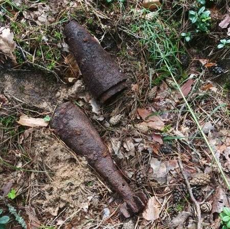 Под Брянском у «Партизанской поляны» нашли мину и взрыватель для артснаряда