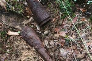 Под Брянском у «Партизанской поляны» нашли мину и взрыватель для артснаряда