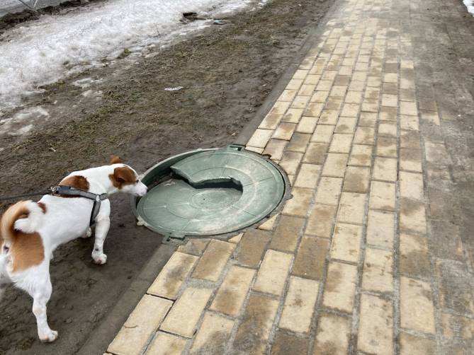В Брянске на Горбатова треснула крышка люка на новом тротуаре