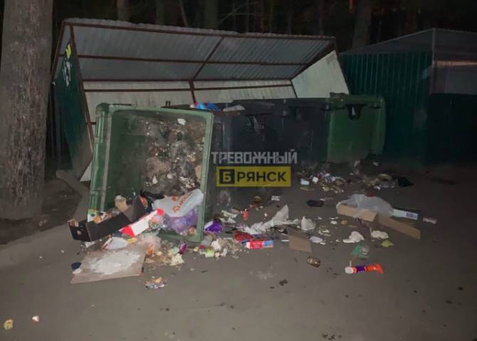 В Брянске заметили мусорный беспредел в микрорайоне Сосновый Бор