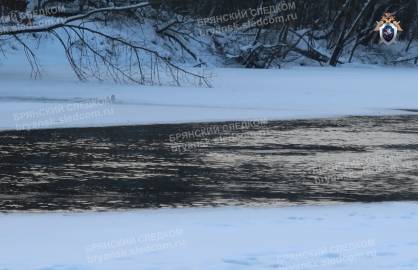 В Брянске в Десне нашли тело пропавшей в декабре женщины