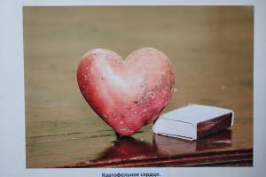 На выставке в Стародубе показали чудо-огурец и картофельное сердце