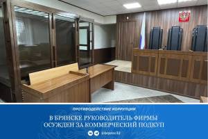 Директора брянской стройфирмы оштрафовали на 1 млн рублей за коммерческий подкуп