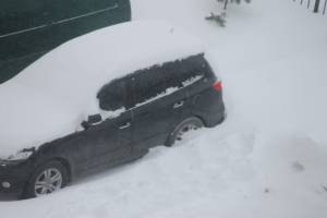 Тысячи автомобилей попали в снежный плен в Брянске