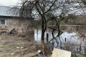 В Брянске к 28 марта затопило 18 приусадебных участков