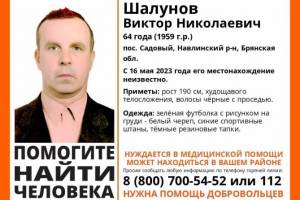 Пропавшего 64-летнего Виктора Шалунова из Навлинского района нашли живым