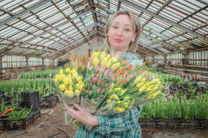 В Брянске к 8 марта вырастили 30 тысяч тюльпанов