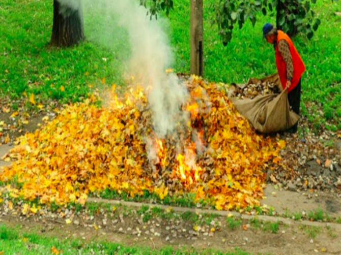 Севские чиновники сожгли листья после субботника