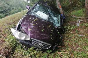 Под Суземкой легковушка протаранила дерево: пассажир разбил голову