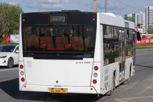Житель Брянска пожаловался на девушку-водителя автобуса №31