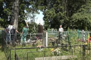 Жители Рогнедино 4 года тщетно просят власти навести порядок на кладбище