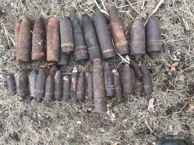 В лесу возле села в Карачевском районе нашли 49 артиллерийских снарядов