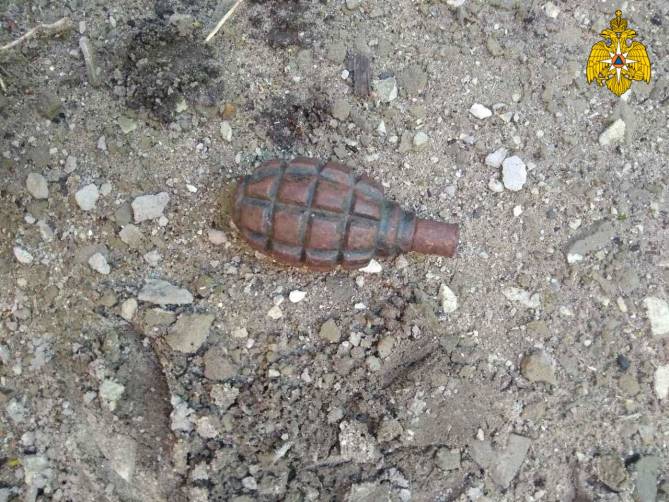 В Володарском районе нашли ржавую гранату