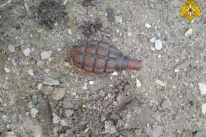 В Володарском районе нашли ржавую гранату
