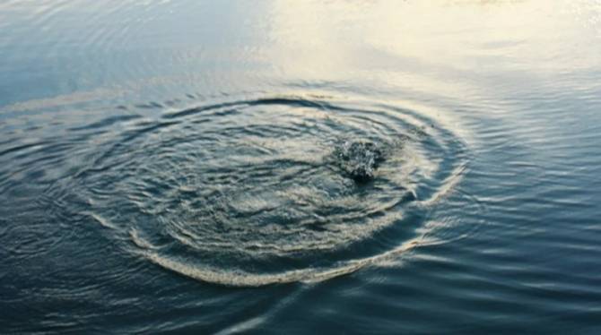 На озере Карна в Новозыбкове утонул 46-летний мужчина