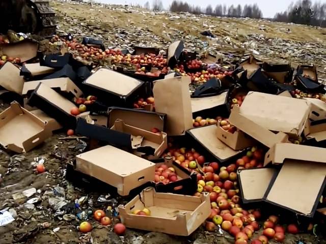 В Брянской области трактор раздавил 3,5 тонны яблок