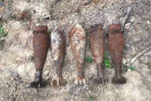 Возле навлинского села Ревны нашли 5 минометных мин