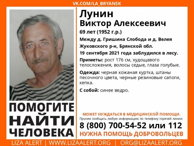 В Жуковском районе ищут заблудившегося в лесу 69-летнего Виктора Лунина
