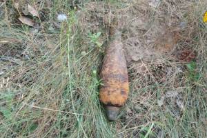В лесу возле клинцовского села Ольховка нашли минометную мину