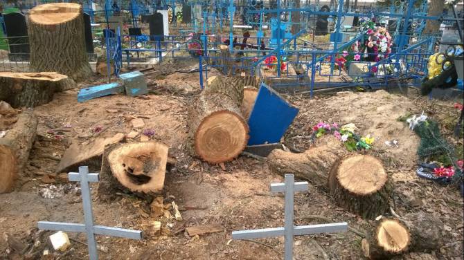 В Суземке на кладбище рабочие разгромили несколько могил