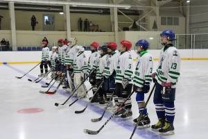 Юные брянские хоккеисты поборются за участие во всероссийских соревнованиях