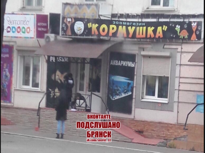 В Брянске полиция раскрыла кражу из зоомагазина