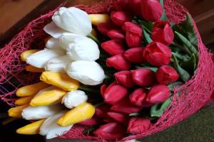 В Клинцах на 8 Марта в кафе у женщины украли подаренные цветы