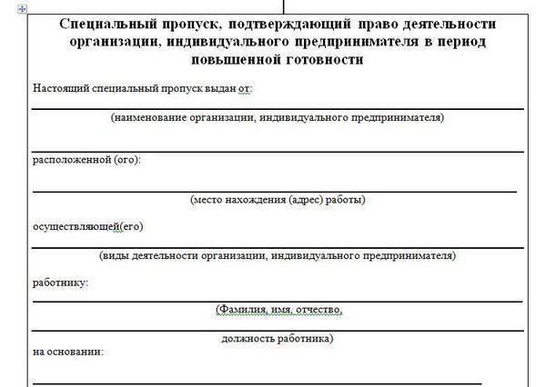 В Бежицком районе Брянска выдали почти 10 тысяч спецпропусков