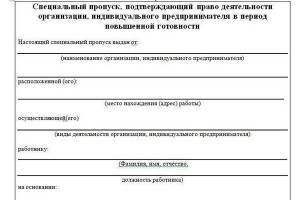 В Бежицком районе Брянска выдали почти 10 тысяч спецпропусков