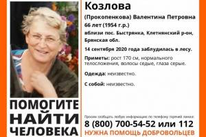 Пропавшую в Брянской области 66-летнюю Валентину Козлову нашли живой