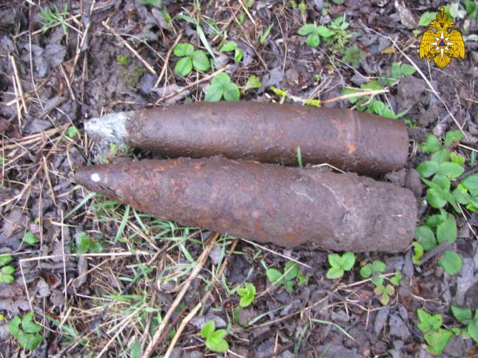 В Брасовском районе нашли два артиллерийских снаряда