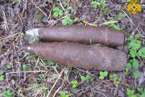 В Брасовском районе нашли два артиллерийских снаряда