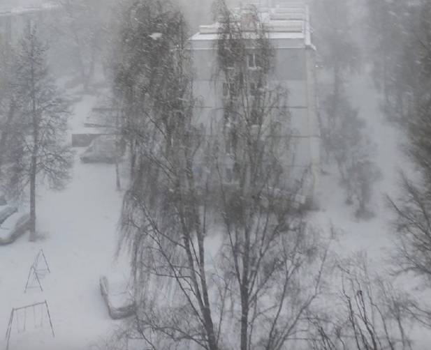 В Брянск вернулась зима со снегом