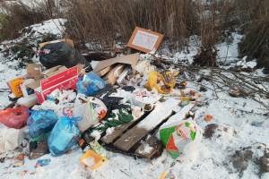 В пригороде Брянска появилась большая свалка мусора