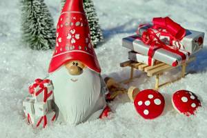 В Брянской области почтовые ящики начали принимать письма для Деда Мороза